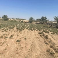 نص دونم • طابو زراعي • الرمادي ناحية اليرموك