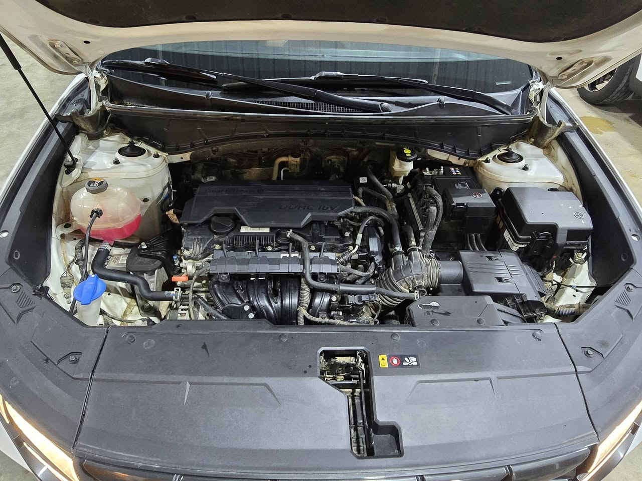 السلام عليكم
توسان ٢٠٢٤ خليجي 
محرك 2000 dohc
شاشة ،كامرة ،اوتو هولد، سايد بريك كهربائي
درايف مود ٣ انظمة قيادة
سبروت ،ايكو ، نورمال 
 تبريد كشنات امامي
مري طي كهربائي ،اندرويد اوتو 
تحكم سترين ، تبريد قطعتين ،مانع انحدار 
حساس امامي ،حساس خلفي 
السيارة مكفولة كفالة عامة عدا( بارد فقط طخة بالجاملغ الامامي الايسر) فقط ،
السعر 188 فقط و بيها مجال قليل 
للاستفسار الاتصال على الرقم
***********
***********
عنواني واسط / الكوت .
