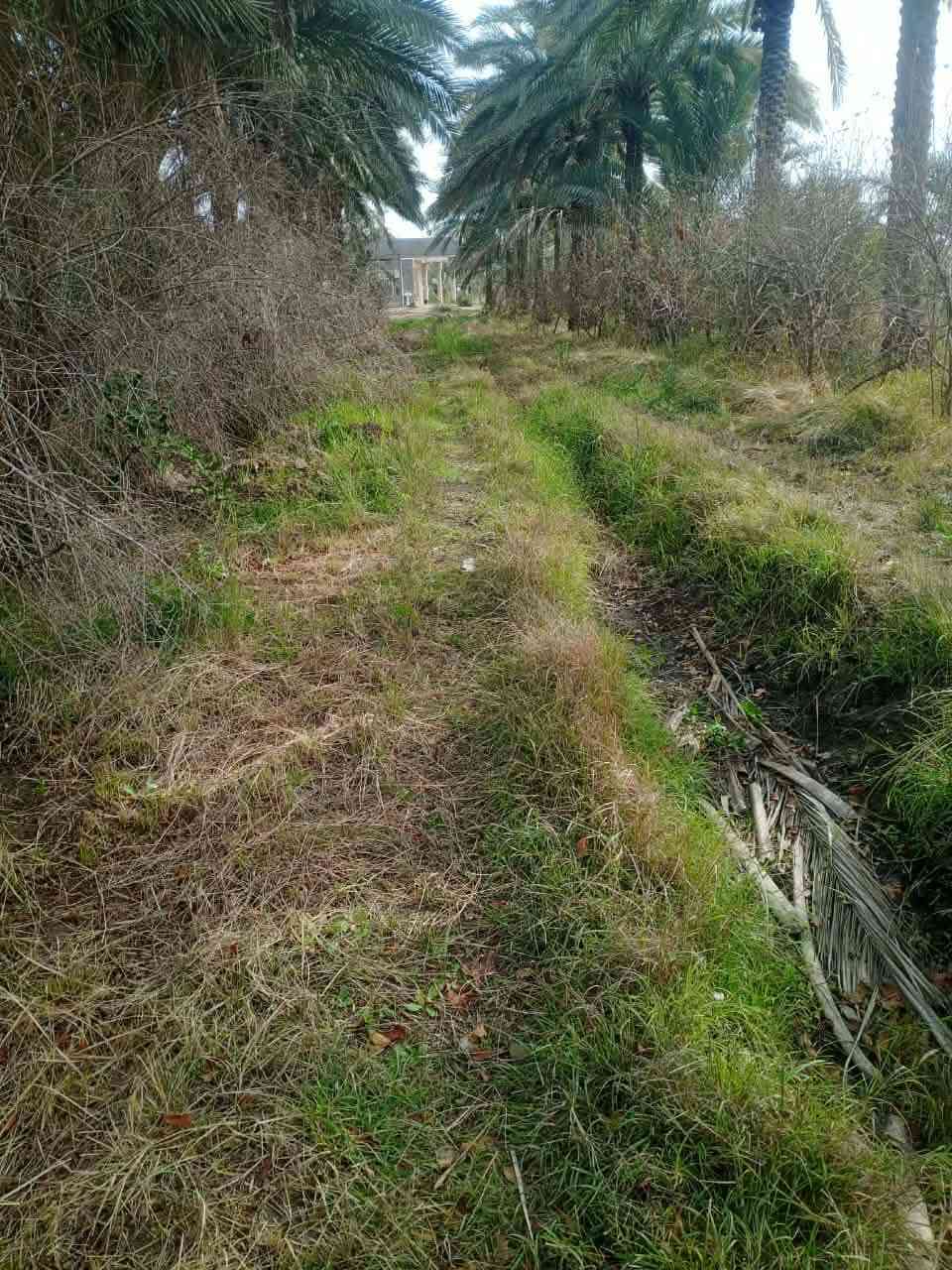 ارض للبيع مساحة 5 دونم عقد
واجهة ٢٥٠م 
تحتوي على ١٢٠ نخلة حمال وتين ورمان 
وبوكس غرفتين نوم /صالة / استقبال / مطبخ 
ارض زراعية ١٠٠%
ماء وطريق وكهرباء رسمي 
الموقع الجوادية 
***********
للأستفسار اكثر مراجعة مكتب الورد للعقار قرب فلكة الساعة مجاور مكتب الجزيرة مقابيل مركز الشباب
