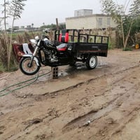 اوراق اصولي مدور من الوكيل ورقت كمرك ضايعه معمره  السعر مليون 250وبيه ...