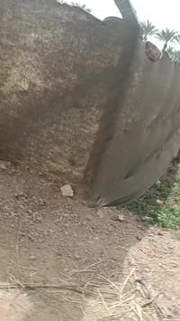 طنوبه كربلاء • دونم • سند ٢٥ ركن