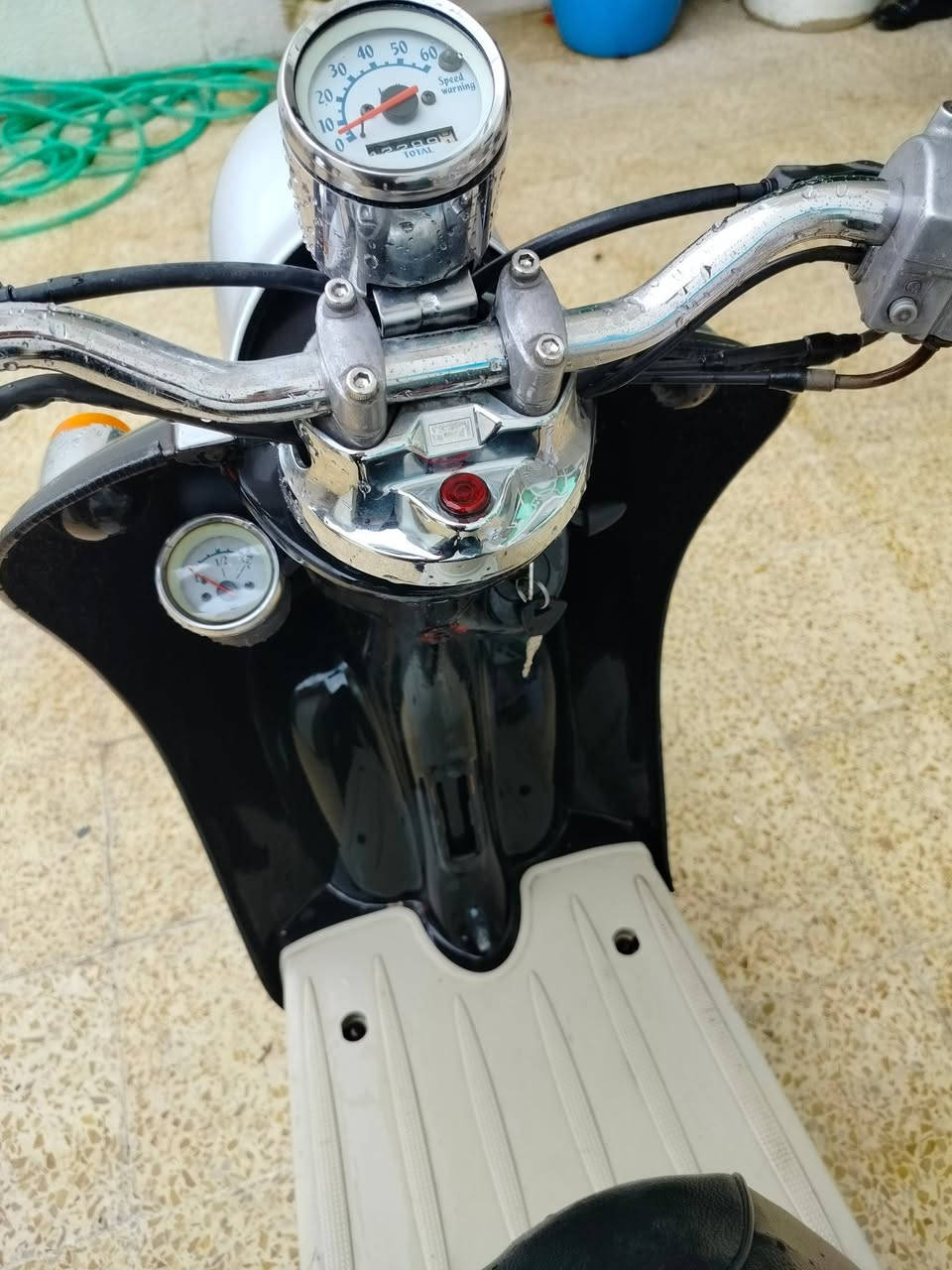 جبتلكم عبد الحليلم أصلي % نظافة% مالبيت مامفتوح شديت طخم تاية جديد قبل سبوع كهرببات وگيج كلهاشغالات%  ماأستخدم غير  بانزين محسن  على أيدي  ( السعر 500ألف ) / مكان الماطور هڤلان أتواجد واتس فقط 
***********
