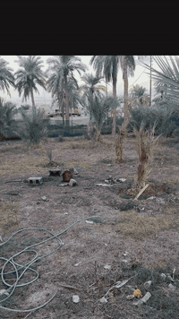 يتوفر بستان دونم زراعي مع دار بناء جديد في منطقه الحوطه علمأ أن الدار مؤثثه للاستفسار ***********
