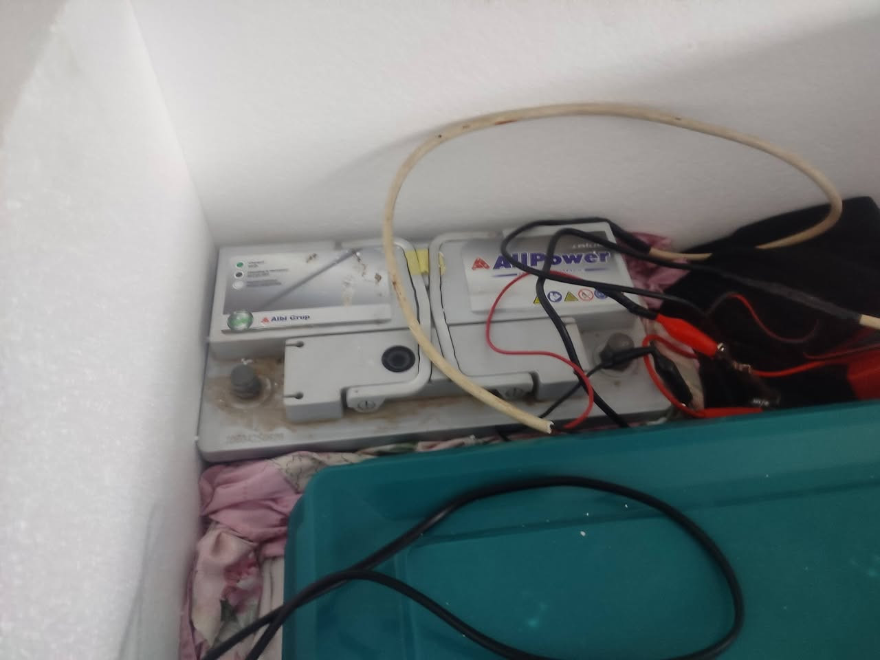 فقاسه جديده استخدام مره واحده فقط
فقاسمه ماخذه 150 تتحمل 130 بيضه

وياه باتري 80 امبير ماخذه 75

وياه شاحنه باتري 25

وياه فلينه شغل حتى تحافض على الحراره ميه بالميه اثناء استخدام الباتري مسويه شغل خمسه سنتيم ضغط 20 ب35 الف 

وياه مقاياسين حراره ورطوبه المكان النجف الشراي يتفضل خاص تاخذه كبل تحط بيه بيض ***********

ابيع كلهن سوه
