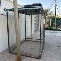 شباب قفص شغل مظبوط يرهم مال غندور او دجاج مكاني الراشديه سعره 150للتوا...