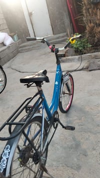 يا سكل البيع السعر40 ☘️07873502046