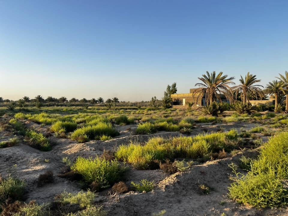 1325 متر للبيع 

و اجهة. 25م  ونزال 53 م

طابو زراعي سند 25 باسم شخص واحد فقط نقل ملكية مباشر 

موقع الارض طريق حلة نجف قرب جامعة بابل 

تبعد عن شارع حلة نجف 700 متر 

ماء اسالة مستمر 

للاستفسار ***********
