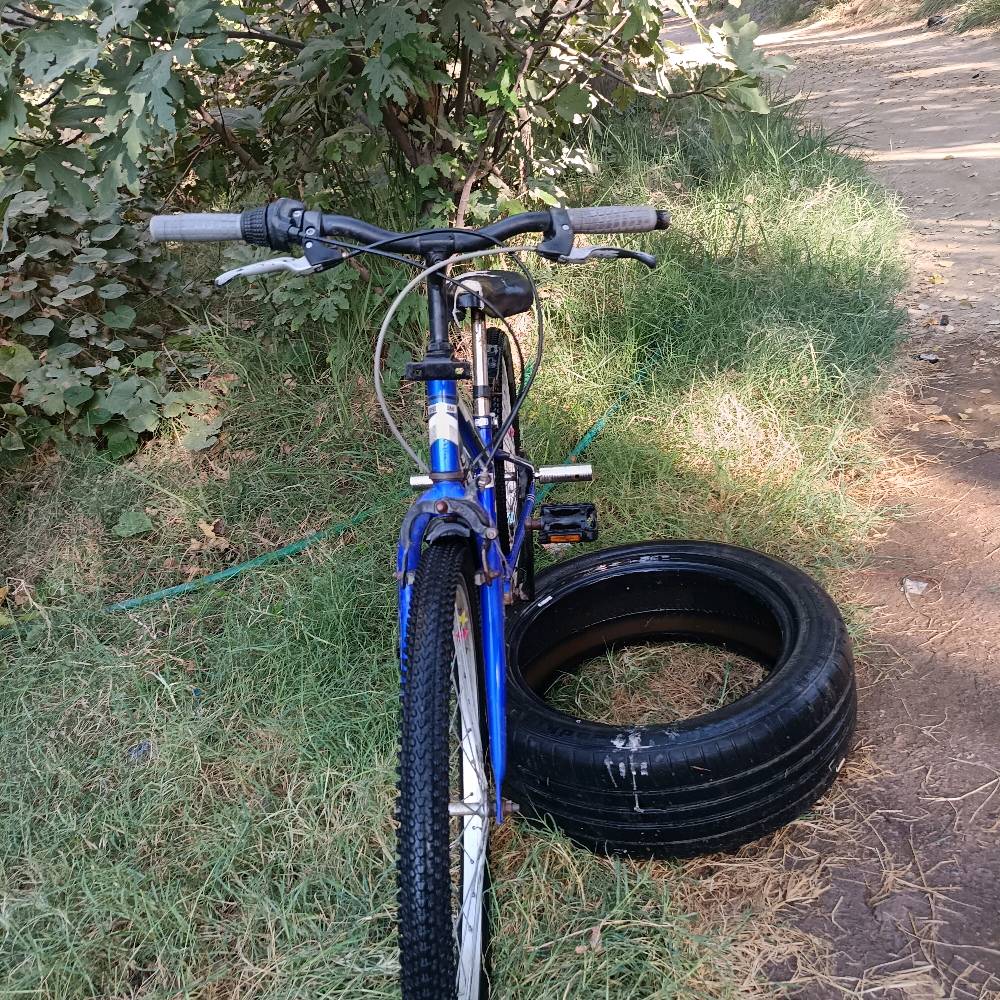 الكوفه ناحيه العباسيه طبر سيد جواد 