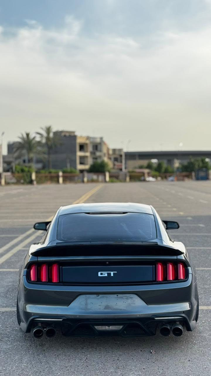بايب فورد موستنك Gt 5.0
للبيع او مراوس
كير عادي 🕹️
2017 ماشيه 49 
صبغ اربع قطع بدون ايرباك 
السياره جاهزه على اخر حبه 
صدر خلفي امامي جديد 
 ميكانيك كير مكينه مكفولات  مكينه شاده قبل سبوع بعده بلظمان 
كير كلج عنابير كله جديد 
اكسل 3.55 وكاله 
داخل جديد وكله شغال 
عليه شباك cs 
هود cs
 اصلي شاشه Sync 3 
دركه كاربون اصليه 
كزوز روش مع اكتف كزوز 
كشنات كهرباء 
جاهزه للاخير رقم سليمانيه الجديد ومميز تريد تحويل او وكاله مكاني الغزاليه 
***********
