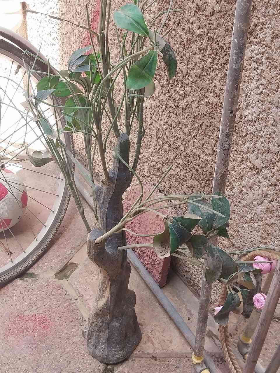 الطباخ ب١٠٠
كل الزرع ب١٠٠


**إذا كنت صاحب هذا الإعلان وتريد حذفه لأي سبب، رجاءا أرسل رسالة إلى الدعم الفني**