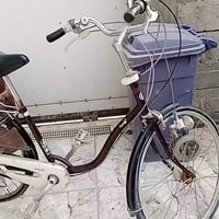 باسكل • ياباني أصلي • النعيم