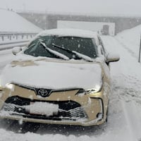 كورولا هايبرد • ٢٠٢٥ • تاكسي