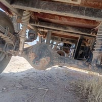 ستوته • للبيع • الطيوب