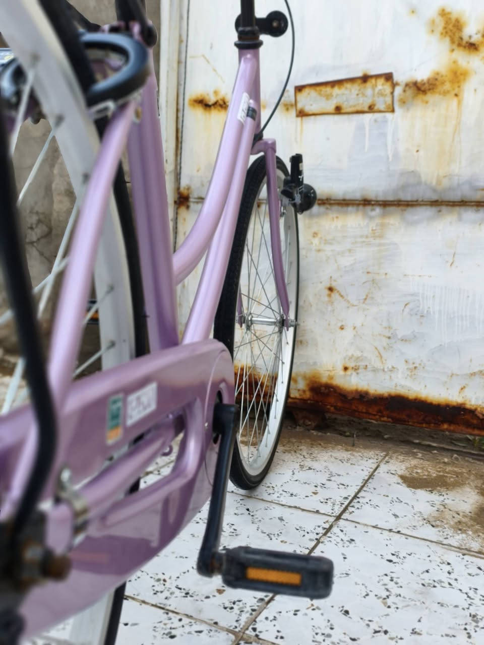 بابيسكل للبيع مديل 22
نضافه 100

بايسكل يابني 

بايسكل غراض كامل جملاغات بريك امامي

 وبي مجال140سعر

عنوان بابل القاسم قرب مرقت سيد احمد

توصل ***********
