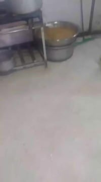 لي محتاج طباخ شرقي07717949773