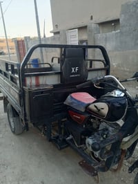 ستوته للبيع • ستوته 2023 • ستوته بلادية • ستوته مكفولة • ستوته بابل • ...