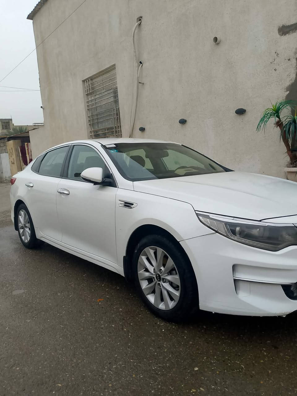 السلام عليكم 
كيا اوبتما خليجي مكينه دوش٢٤٠٠ 
مديل ١٨  
ماشيه  ١٥٥
السياره بيها صبغ  شبر وشويه بالبنيد موضح بالصوره احسبها قطعه والباقي كفاله عامه حته الدعاميات 
السياره مدوشمه ارضيه كشنات سفاريات صندوك  
تبريد منضومه جديده  
ادامه كامله للسياره من منضومه بانزين الى دهن الكير السياره 
تخم تاير 
سياره بسمي تحويل مباشر 
رقم بغداد الدولي
خير من الله  السعر ١٧٣
الشراي يتصل السلام عليكم 
كيا اوبتما خليجي مكينه دوش٢٤٠٠ 
مديل ١٨  
ماشيه  ١٥٥
السياره بيها صبغ  شبر وشويه بالبنيد موضح بالصوره احسبها قطعه والباقي كفاله عامه حته الدعاميات 
السياره مدوشمه ارضيه كشنات سفاريات صندوك  
تبريد منضومه جديده  
ادامه كامله للسياره من منضومه بانزين الى دهن الكير السياره 
تخم تاير 
سياره بسمي تحويل مباشر 
رقم بغداد الدولي
خير من الله  السعر ١٧٣    مكان بغداد 
الشراي يتصل ‭٠٧٨٧ ٤٦٦ ٣٥٧٣‬
