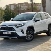 راف فور XLE • هايبرد بنزين • نجف