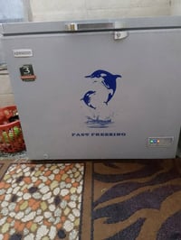 مجمده البيع تجميد فول ما داخله تصليح مكاني بغداد حي نصر 07707008497