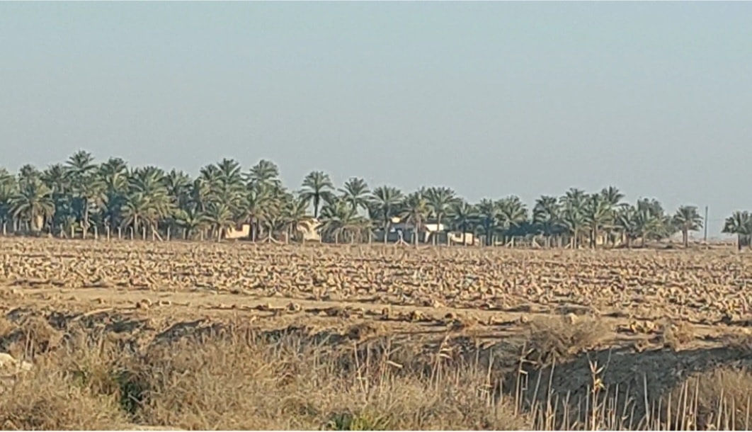 السلام عليكم ورحمة الله وبركاته اخوتي الأعزاء الاكارم 
اعلان(١٠٥) الصلاة على محمد وآل محمد. هي طاهرة للقلب
* ٢٥.دونم .ونصف . زراعي سند ٢٥ .طابو بعقوبة للبيع 
. تقع ع طريق خان بني سعد .محمد سكران .الطريق المؤدي إلى خان بني سعد .بعقوبة . تبعد عن الشارع العام التبليط ١ كيلو . فيها ٣ طرق للدخول عليها . ماء زرع فقط . مراشنة
سعر الدونم (١٠) مليون للدونم الواحد. وفيها مجال للتفاوض. من يرغب في الشراء يتصل بي او عبر المراسلة .وتساب (***********) او عبر الصفحة ماسنجر 
اخوكم ابو مهدي العامري.  المراجعة في مكتب العامري للوساطة العقارية.  الواقع في نفس الشارع . بعد المقبرة ٢ كيلو.  ولكم مني كل التقدير والاحترام. 
 من يرغب ابعث له الموقع الخاص في المكتب
