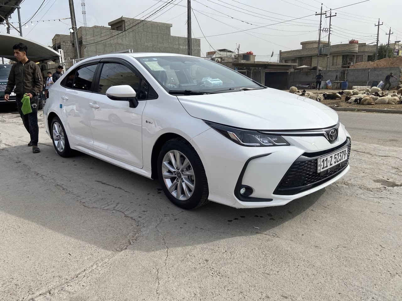 تويوتا كورولا هايبرد 2025 شكل الخليجي فول مواصفات

محرك 1800 هايبر

تبريد قطعتين

مواصفات :

بصمه + بصمه ابواب

فتحه

كشنات جلد اسود

رادار + تحديد مسار + قيادة ذاتية

هاند بريك كهربائي + لايت زينون

عداد ديجيتال

درايف مود + أوتو هولد

فل سيستم إيرباك + مانع تصادم + مانع انزلاق وبعد هواي بيها مواصفات 

سياره مكفوله 

السياره بسمي رقم بغداد الجديد 

مكان بغداد السعر155: 

الاتصال ***********
