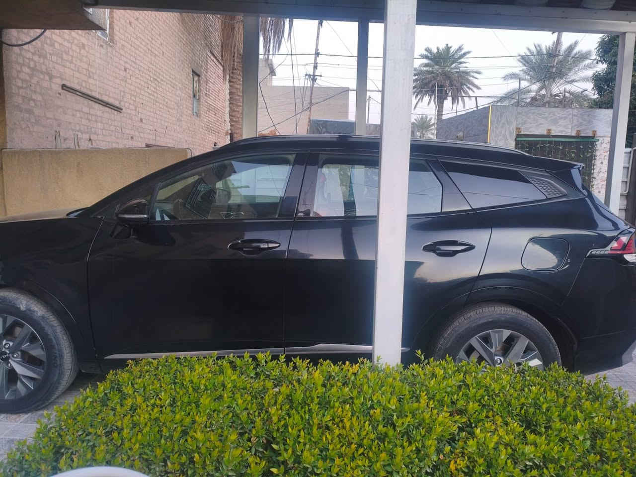 ياالله
السلام عليكم كيا سبورتج 2023 SX برستيج وارد امريكي

Kia Sportage Sx-Prestige 2023 2.5L

حجم المكينه : 2500     

ماشيه 35

#المواصفات

الضرر قطعتين صبغ حادثه تعال خاص وتدلل

1. شاشه كبيره

2. بصمه

3.بنوراما 

4.تشغيل عن بعد 

5. كامرات 360

6. رادارات جانبيه

7. رادار امامي

8. لايتات لد 

9. بكلايت لد 

10. كشنات جلد بقلاوه

11.هيترات بالكشنات حار بارد

12. ويل كب 

13.اشاير بالمري

14.كيجات دجيتل 

15. قطعتين تبريد 

16. تبريد بيانو 

17. تحكم 

18. نظام سبورت ايكو عادي

19. تو ويل

20.ايقاف ذاتي اوتو ستوب

21.حساسات خلفي امامي

22. اوتو هولد 

23. نظام منحدرات 

24. كشنات كهرباء

25. شحن وايرليس 

26. كشافات

27.كشن السايق ميمري 

🟩 السعر  _ 185 وبيه مجال 

تفاصيل اكثر هذا رقمي ***********

مكاني بغداد المنصور
