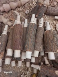 صفصاف بكارات • ٣٠سنتيم • كربلاء طويريج