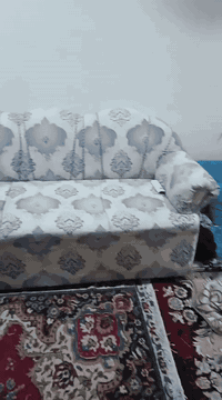 تخم قنفات نضيف للبيع سعر 125 الف تواصل 07822353749