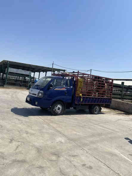 يالله السلام عليكم كيا فحل مسكر 2019 مجول مكينه جديده شديتها قبل اسبوع ب18 ورقه تخم تاير جديد محور بدي مغلف طشت +جكر  رقم قادسيه سنويه صاله 3 اشهر ساقطه بسم ولد صاحبي تحويل مباشر كفاله عامه من عده البنيد اولغد جهه السايق امبدلات نفس الون اصلي مال تفصيخ سياره كامله ماعايزها برغي كبل لشغل مكاني حله حي العسكري سعر 160 اوبيها مجال 
***********
