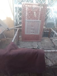 قفص • ديكور منزلي