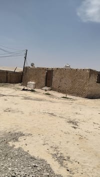 فدانين ونص • صوبة خضار • مزارع دواجن مجهزة