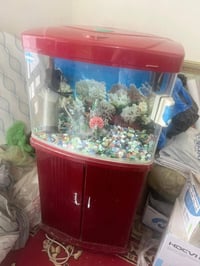 حوض سمك • ماطور • عمارة ميسان