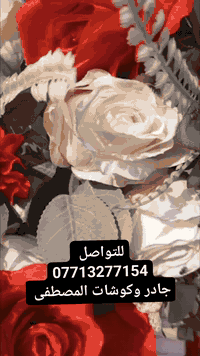 جادر وكوشات • أعراس أعياد ختان • بابل-الديوانية-النجف-كربلاء