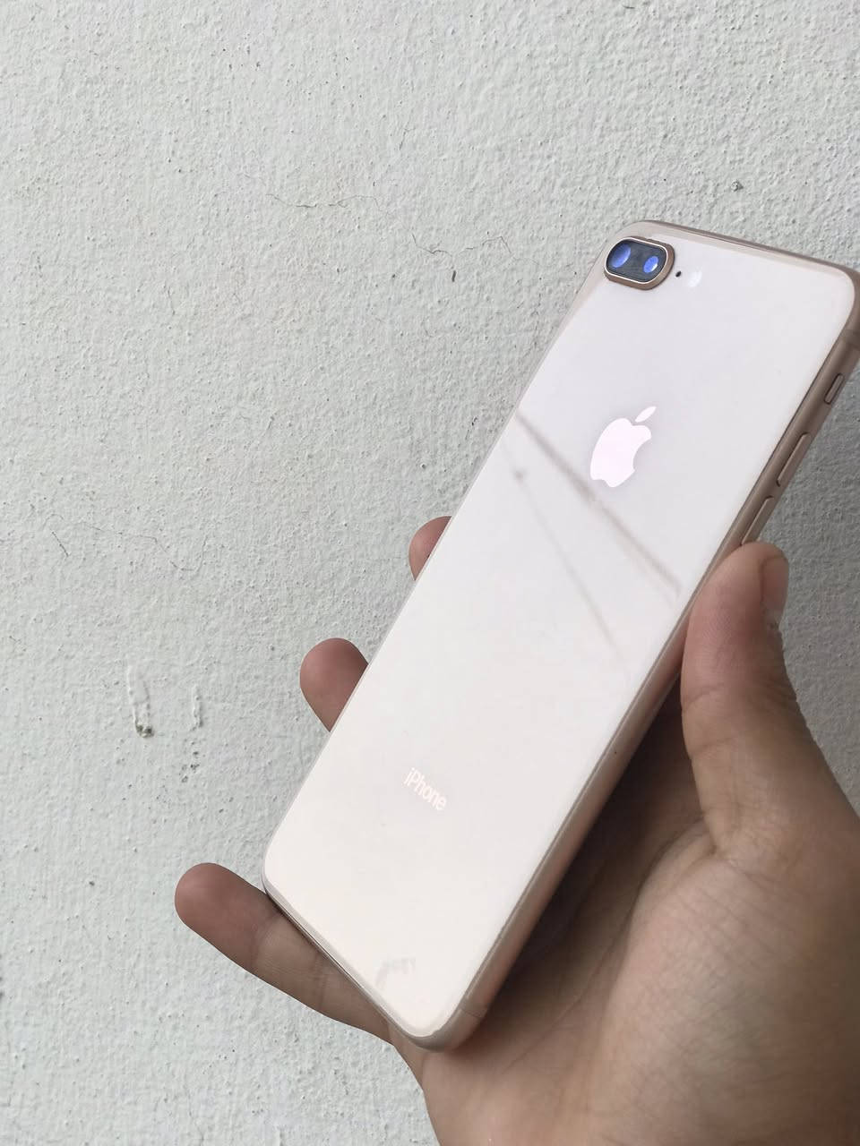 سلام عليكم 
ايفون 8بلس 
جهاز مواصل تصليح مال بيت 
يرادله فقط شاشه 
ذاكره 64 
بطاريه 72 بلاديه صرف كلش طبيعي 
النضافه كدامكم اذا بي شخص واحد تاخذه بلاش 
للبيع او مراوس بايفون فقط 
***********
بعقوبه التحرير
