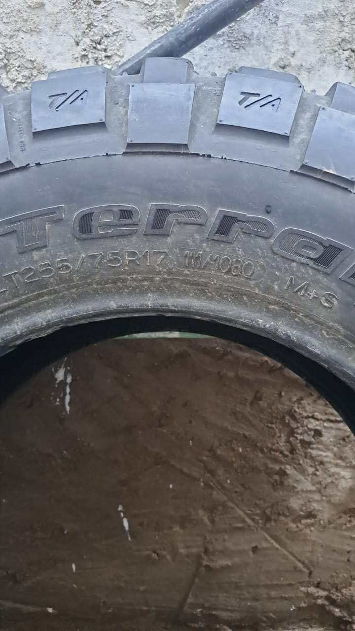 تخم تاير حجري امريكي بفكردرج حجم 17/75/255
مكاني ديوانيه السعر 350 وبيها مجال


**إذا كنت صاحب هذا الإعلان وتريد حذفه لأي سبب، رجاءا أرسل رسالة إلى الدعم الفني**