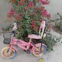 بايسكل • نضيف • بابل الكفل