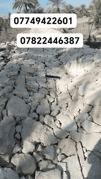 07822446387++07749422601