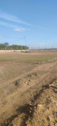 چیمە كركوك • ٤٥٠٠م • ارض زراعية