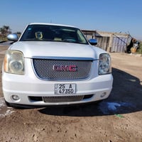يوكن دينالي • ٢٠٠٨ • الديوانية