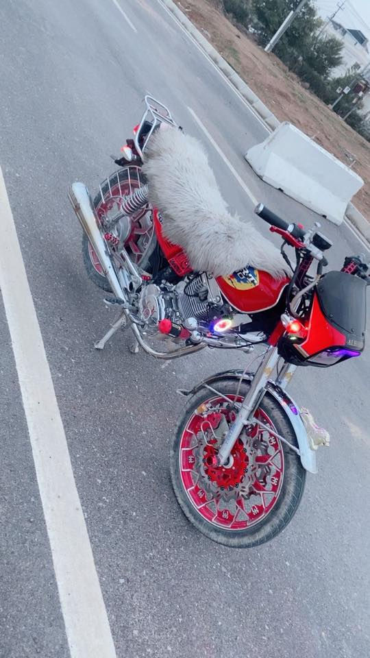 بارت عيتاني سوري 200 cc
2025 كلشي بي كبس وضع شركه سعر 7 ورقات وبي مجال ***********
