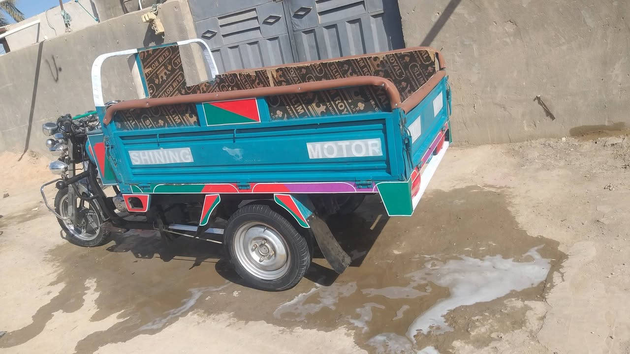 *********** شباب ستوته للبيع 2022 طالعه بال 23
