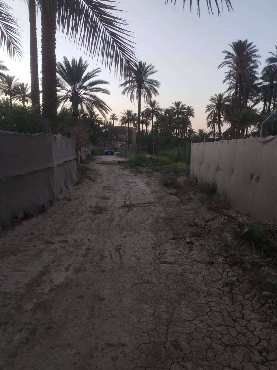 قطعه مساحتها 600متر
قرب سيد محسن كريطعه
القطعه فرعيه
طابو زراعي سند25

مكتب وعقارات الوارث
***********
