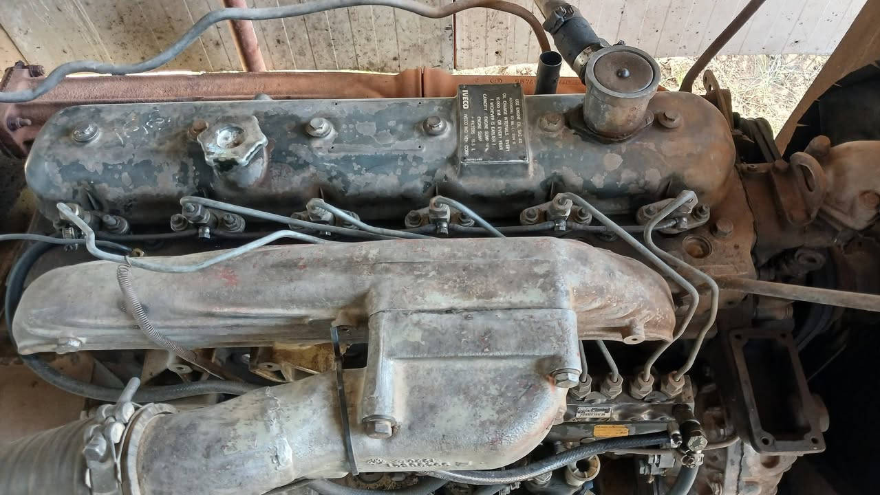 افيكو ١٠٤ للبيع راس توليد ١٠٠ KAV مكفول من الصرف والبخار والتوليد  واسط الصويرة قرب سيطرة اللج هاتف ***********
السعر 32$ وبيها مجال
افيكو ١٠٤ للبيع راس توليد ١٠٠ KAV مكفول من الصرف والبخار والتوليد  واسط الصويرة قرب سيطرة اللج هاتف ***********
