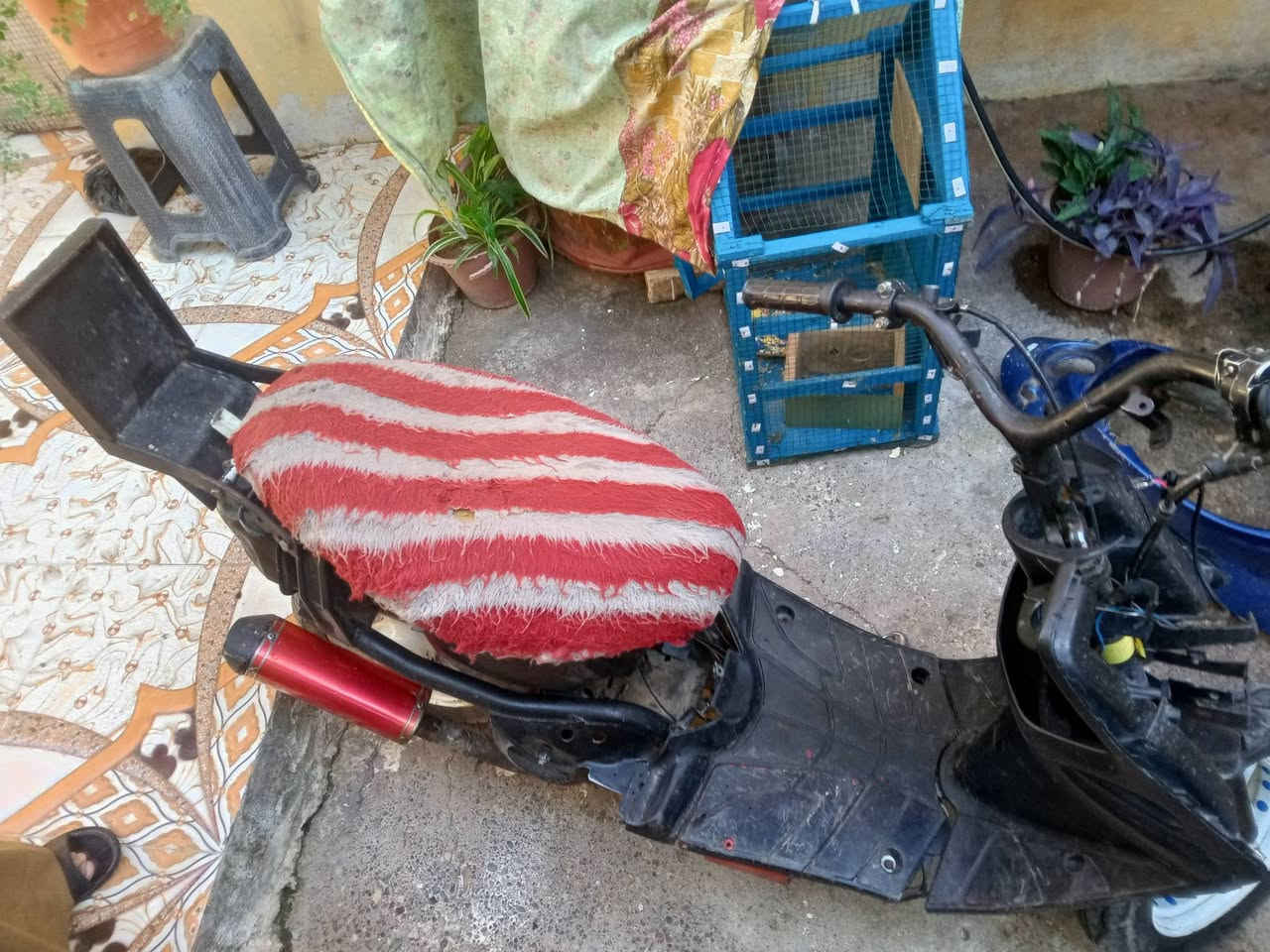 نحلا للبيع كزوز رياضي سعر 150 وبيها مجال شراي يجي خاص مكاني ايسر حي عدن


**إذا كنت صاحب هذا الإعلان وتريد حذفه لأي سبب، رجاءا أرسل رسالة إلى الدعم الفني**