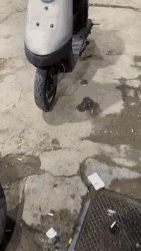 دراجه متروكه بطه مفتوحه مره وحده البيع يراد ترتيب بصيط الكهربائيات وجوزه مثل ماوموضح بل فيديو السعر ١٣٠ مكان كربلاء حي العامل رقم ***********
