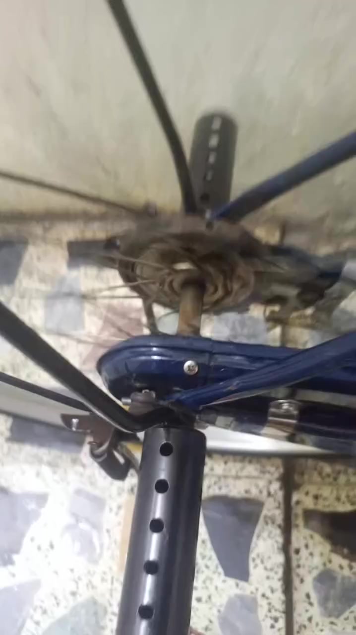 السلام عليكم باسكل حجم 26 نضيف كلش سعرة 130وبي مجال مكان بغداد مدينة الصدر ❤


**إذا كنت صاحب هذا الإعلان وتريد حذفه لأي سبب، رجاءا أرسل رسالة إلى الدعم الفني**