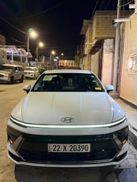 سوناتا ٢٠٢٤ • وارد أمريكي • حادث
