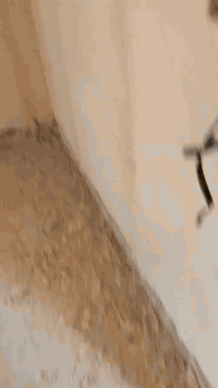 لبخ جص • اسمنت بأنواعه • تقطيع وسقل