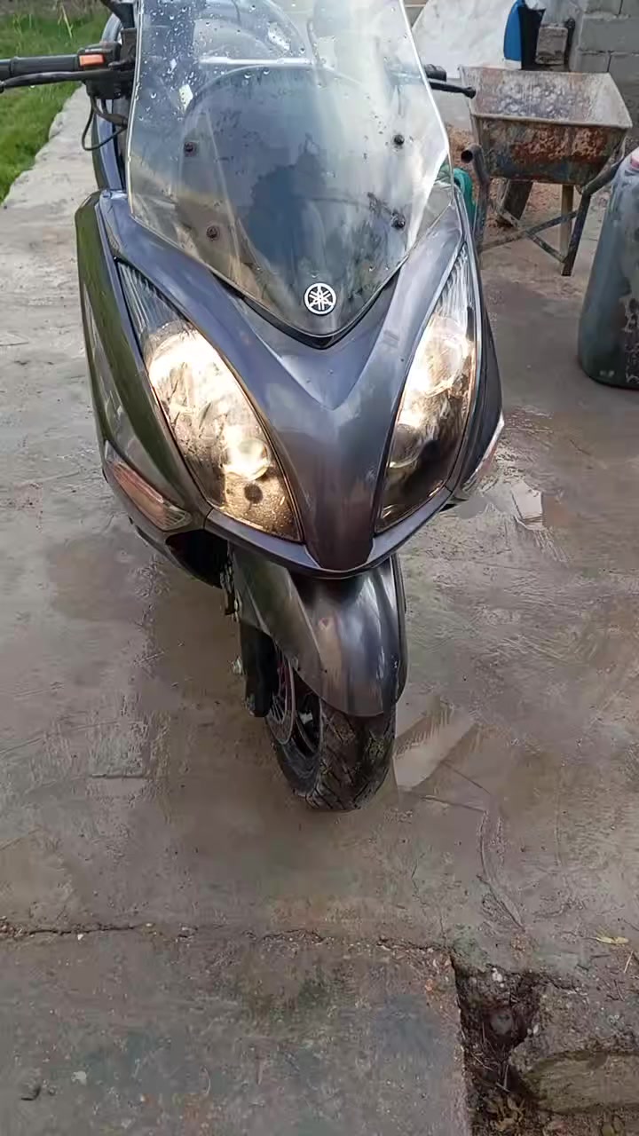 ابو غريب،حميد شعبان مليون 200
***********
