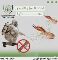 الأرضة بالصيف تبدأ تشتغل بصمت… والضرر يكبر يوم بعد يوم!  لا تنتظر لين ...